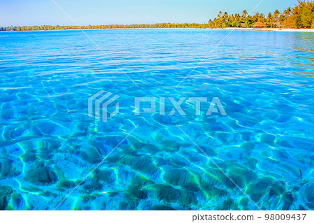 Bora Bora Tropical paradise, Idyllic turquoise beach in French Polynesia, Tahiti 98009437