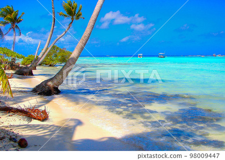 Bora Bora Tropical paradise, Idyllic turquoise beach in French Polynesia, Tahiti Bora Bora Tropical paradise, Idyllic turquoise beach in French Polynesia, Tahiti 98009447