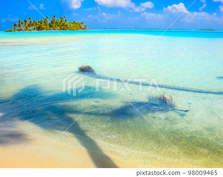 Bora Bora Tropical paradise, Idyllic turquoise beach in French Polynesia, Tahiti 98009465