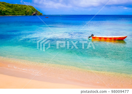 Tropical sandy beach at summer day in Fiji Islands, Pacific ocean 98009477