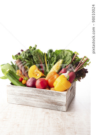 Vegetable collection 98010024