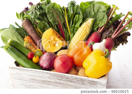 Vegetable collection 98010025