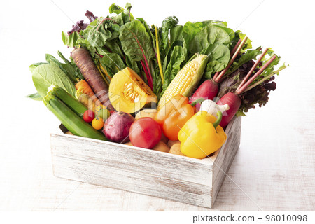 Vegetable collection 98010098