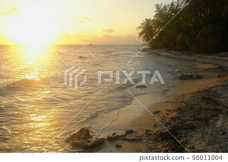Moorea Tropical paradise, Idyllic turquoise beach in French Polynesia, Tahiti 98011004