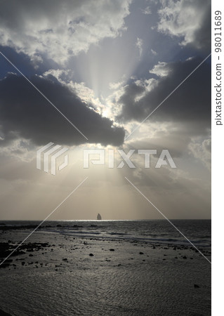 twilight of light twilight of light 98011689