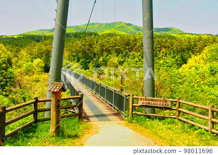 山彥子吊橋(宮城縣加多郡七宿町) 山彥子吊橋(宮城縣加多郡七宿町) 98011696