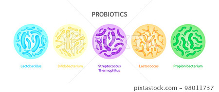 Probiotics lactic acid bacterium cells. Bifidobacterium, lactobacillus, streptococcus thermophilus, lactococcus, propionibacterium. Digestion healthcare concept. On blue background vector. 98011737