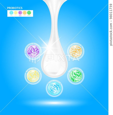 Probiotics lactic acid bacterium in milk, yogurt. Bifidobacterium, lactobacillus, streptococcus thermophilus, lactococcus, propionibacterium. Digestion healthcare concept. Vector EPS10. 98011739