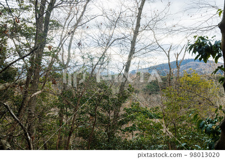 攀登到京都木津海拔 217 米三角測量點的無名山頂的第二天。 98013020