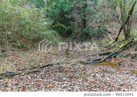 Kyoto Kizu Elevation 217m Climbing to the nameless summit with a triangulation point 2nd day A mountain trail interrupted in a thicket ② Kyoto Kizu Elevation 217m Climbing to the nameless summit with a triangulation point 2nd day A mountain trail interrupted in a thicket ② 98013041