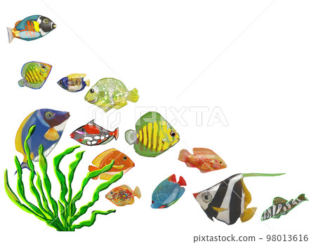 School of fish on the seabed 98013616