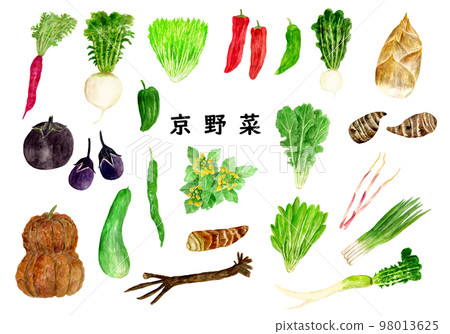 手繪水彩京都蔬菜插畫 手繪水彩京都蔬菜插畫 98013625