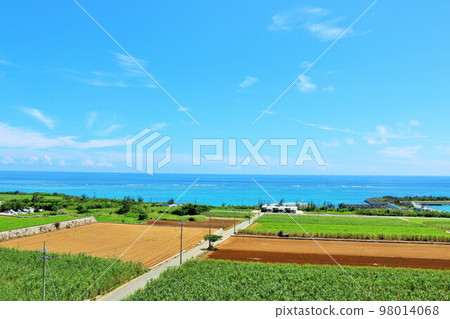 沖繩夏天藍天和宮古島風景 沖繩夏天藍天和宮古島風景 98014068