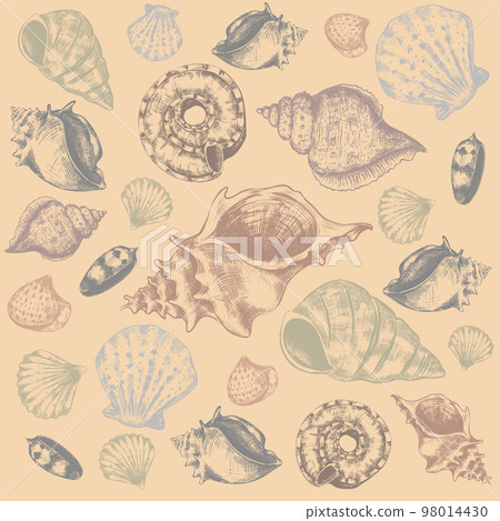 Sea shells. Hand drawn marine elements. Sketch style aquarium habitats, ocean mollusk collection, tropical fauna, engraved decorative wildlife objects, nautilus undersea vector isolated set 98014430