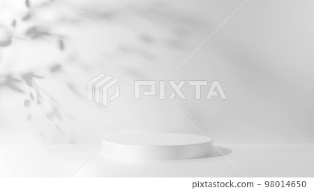 A white cylindrical pedestal on a luxurious white background. Shadows of leaves. Pedestal for products, cosmetics. (Landscape) 98014650