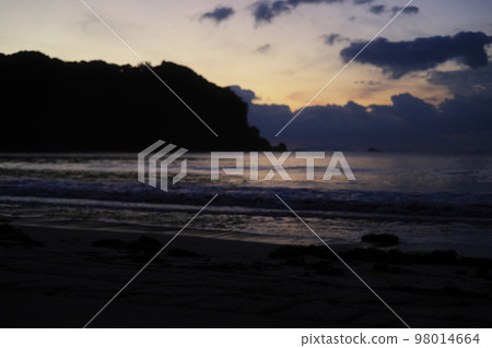sea sunrise scenery 98014664