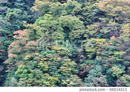 富山縣立山町里山 富山縣立山町里山 98014813