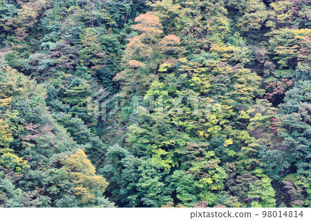 富山縣立山町里山 富山縣立山町里山 98014814