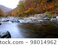 Autumn leaves of Ina River 98014962