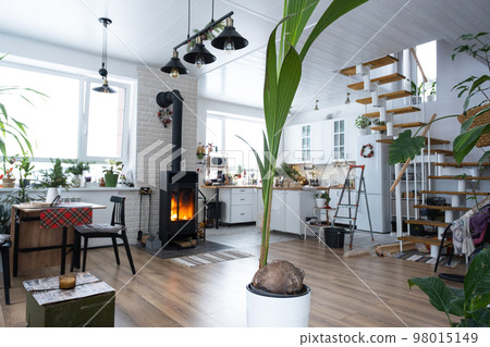 Coconut palm in a pot at home in interior. Green house, care and cultivation of tropical plants 98015149