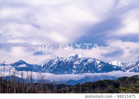 “長野縣”北阿爾卑斯山和冬天的天空 98015475