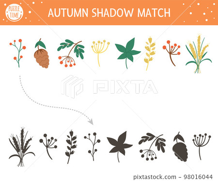 Autumn shadow matching activity for children. Fall season puzzle with cute plants. Simple educational game for kids with leaf, berries, cone. Find the correct silhouette printable worksheet. 98016044