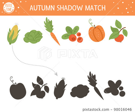 Autumn shadow matching activity for children. Fall season puzzle with cute vegetables. Simple educational game for kids with harvest. Find the correct silhouette printable worksheet. 98016046