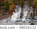 Folding rock 98016132