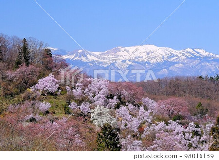 Hanamiyama and Snow Rabbit Hanamiyama and Snow Rabbit 98016139