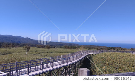 Shiretoko Road 98016142