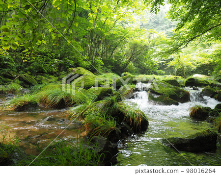 山澗_0001 98016264