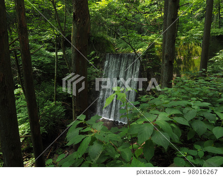 瀑布_0001 98016267