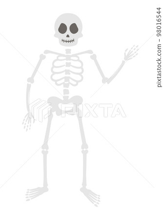 Halloween party illustration with human skeleton. Vector skull and bones. Scary design for Autumn Samhain party. All saints day character. 98016544