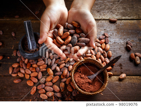 Cocoa beans 98019076