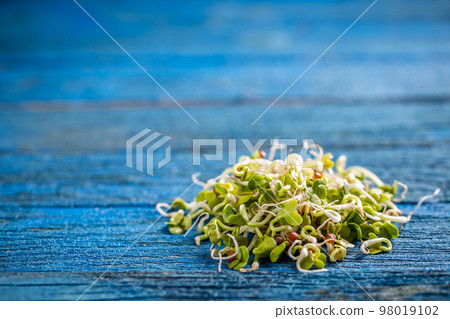 Heap of sprouted radish seeds 98019102