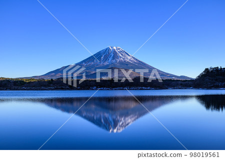 倒映的富士山和藍天映照在精進湖 98019561