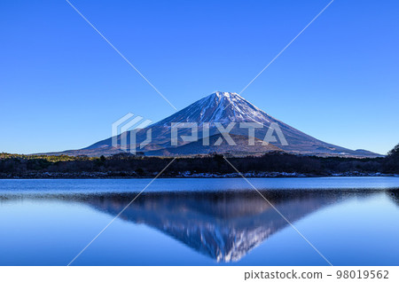 倒映的富士山和藍天映照在精進湖 98019562