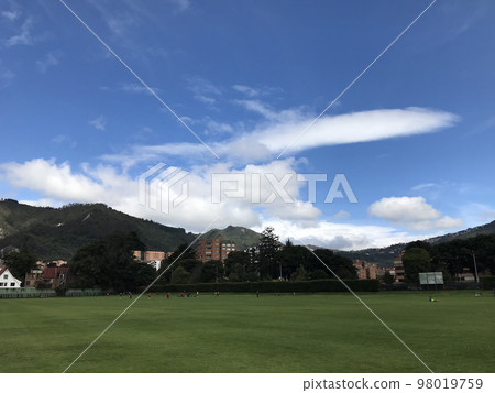 Wide grass park 98019759