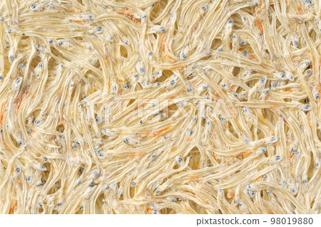 Tatami Watashi 98019880