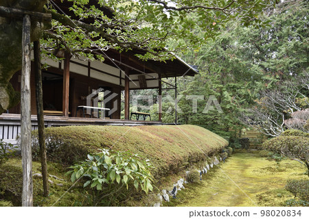 新如園慶春院妙心寺 新如園慶春院妙心寺 98020834