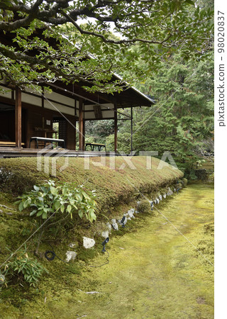 新如園慶春院妙心寺 新如園慶春院妙心寺 98020837