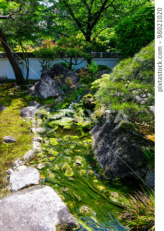 Komatsuo-dera Temple Moss Garden of Shikoku Sacred Site No. 67 Fudasho "Daiko-ji Temple" 98021020