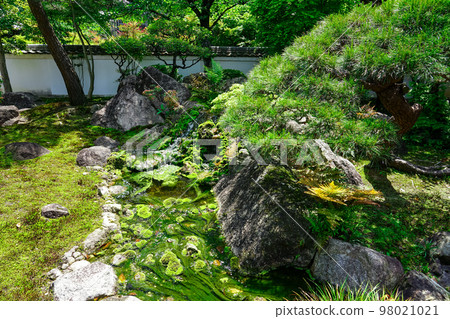 Komatsuo-dera Temple Moss Garden of Shikoku Sacred Site No. 67 Fudasho "Daiko-ji Temple" Komatsuo-dera Temple Moss Garden of Shikoku Sacred Site No. 67 Fudasho "Daiko-ji Temple" 98021021