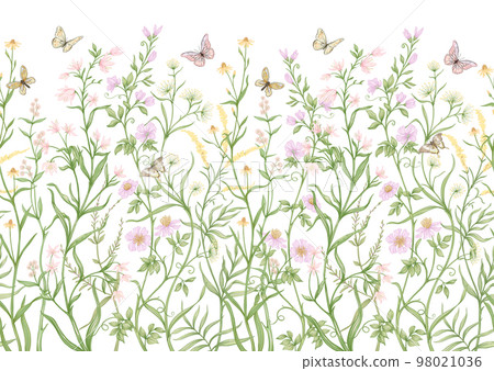 Wild flowers and butterflies Vector illustration. - Stock Illustration ...