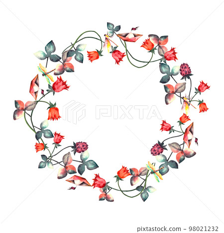 Flowers. Watercolor flower wreath. Watercolor floral set with spring flowers and dragonflies. Botanical illustration. Watercolor isolated illustration on white background. For printing on postcards 98021232