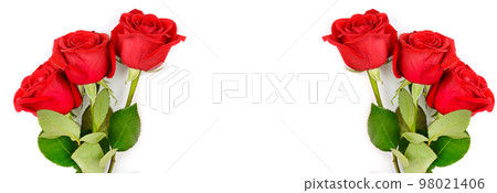 roses isolated on white background. Collage. Free space for text. roses isolated on white background. Collage. Free space for text. 98021406
