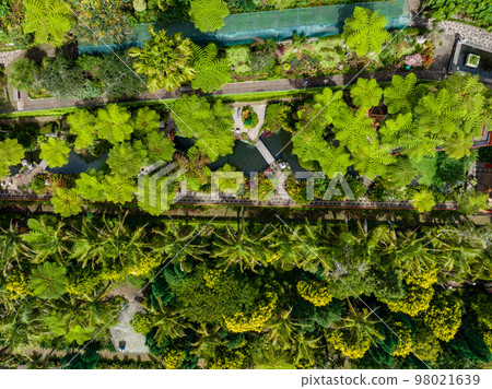 Funchal Green Gardens Aerial View. Funchal is the Capital and Largest City of Madeira Island in Portugal. Europe. 98021639
