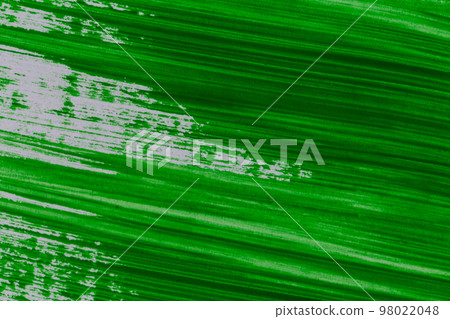 acrylic green paint texture background 98022048