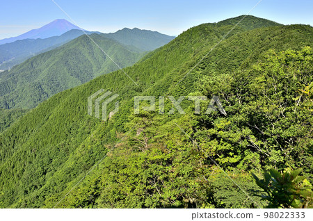 Mt. Doshi mountain ridge traversing course View of Mt. Fuji and Mt. Mt. Doshi mountain ridge traversing course View of Mt. Fuji and Mt. 98022333