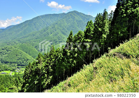 多子山的那幡山 從那幡山/和出村路線眺望西丹澤的酒井堂山 多子山的那幡山 從那幡山/和出村路線眺望西丹澤的酒井堂山 98022350
